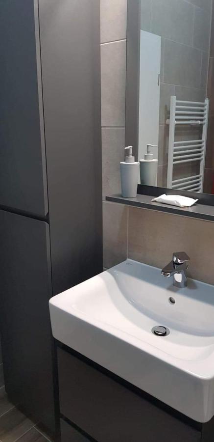 브라쇼브 Apartament Modern Ioan Popasu 아파트 외부 사진